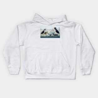 Group of auks and auklets, artwork (C011/2992) Kids Hoodie